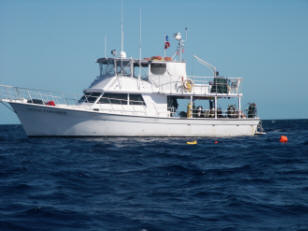 Ocean Explorer