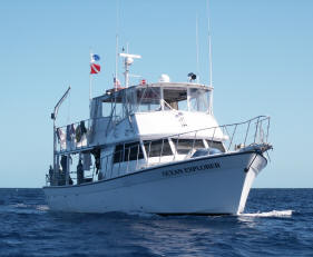 Ocean Explorer