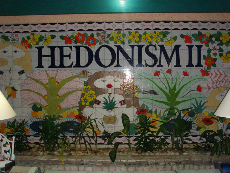 2007 Summer Hedonism Ii Public Album 